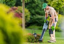 Bendigo garden clean up services