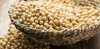 5 Major Advantages of the Global Soy Supply Chain
