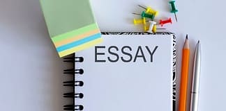 academic essay