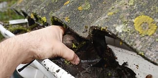 Importance of Gutter Cleaning